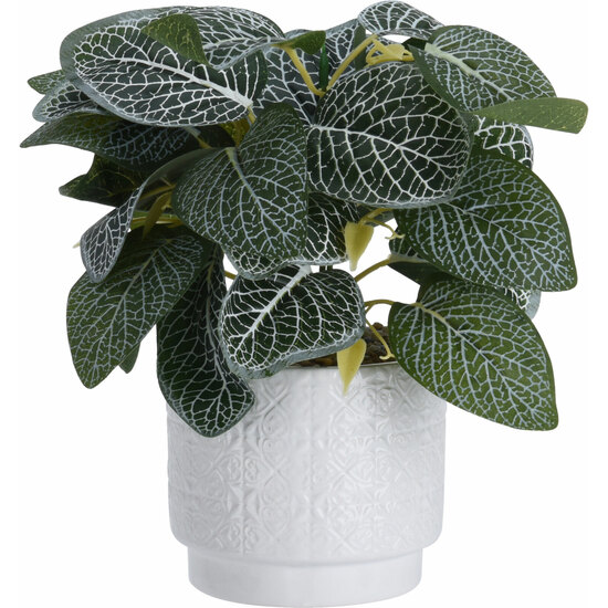 Plant In Ceramic Pot. Size Pot 11x11x10cm. Height In Total Including Plant: 28cm. Weight 330gram. . Each Piece With Barcode Sticker/ 110x110x280mm, Ha