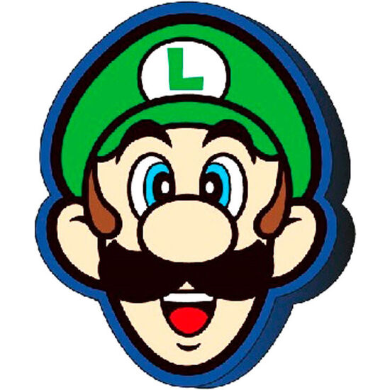 Cojin 3d Luigi Super Mario Bros