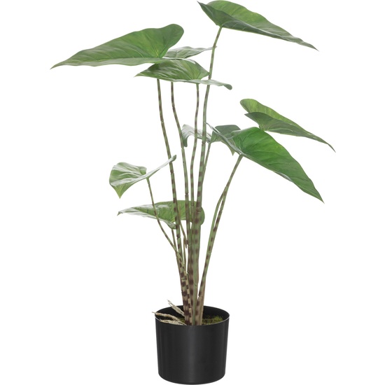 Planta Zebrina Maceta Plast H74